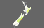 Interactive Map of New Zealand